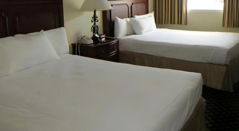 El Cortez & Casino - 21 And Over Only (adults Only)